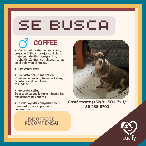 cartel de perro perdido